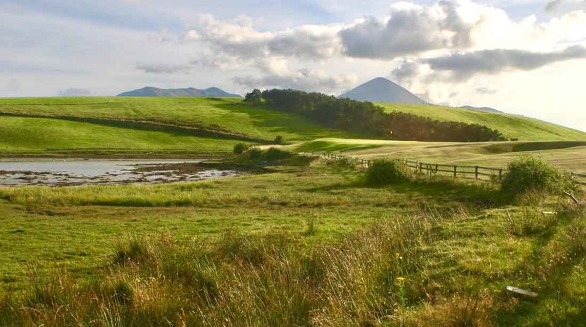 Westport Golf Club, complete with trees.